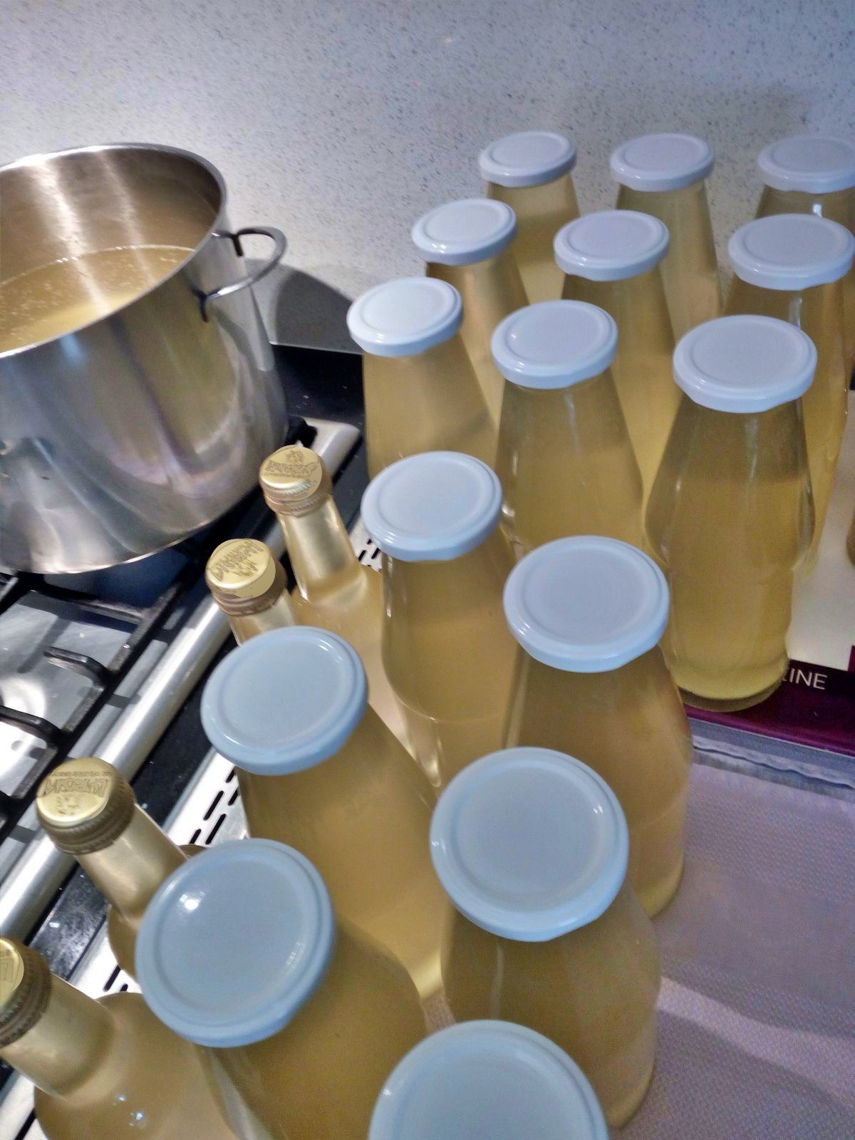 Succo di sambuco del maso