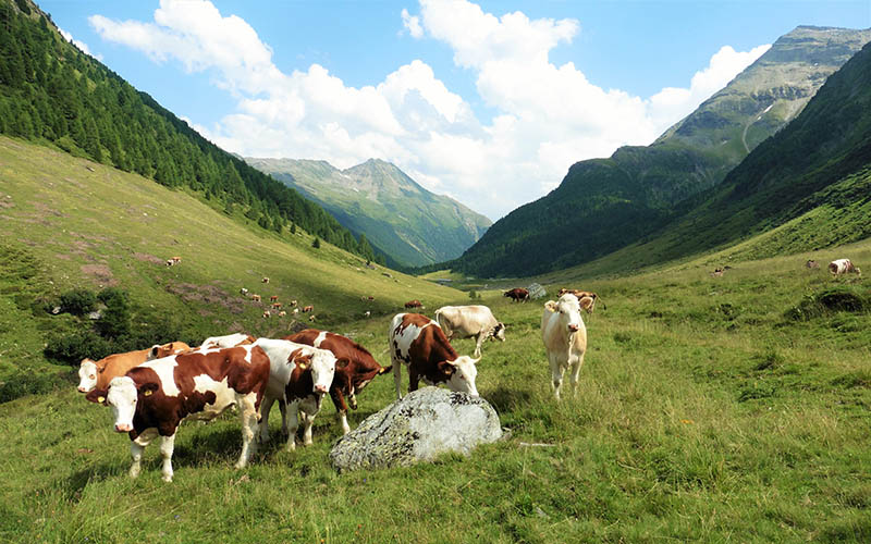 Vista sulla malga