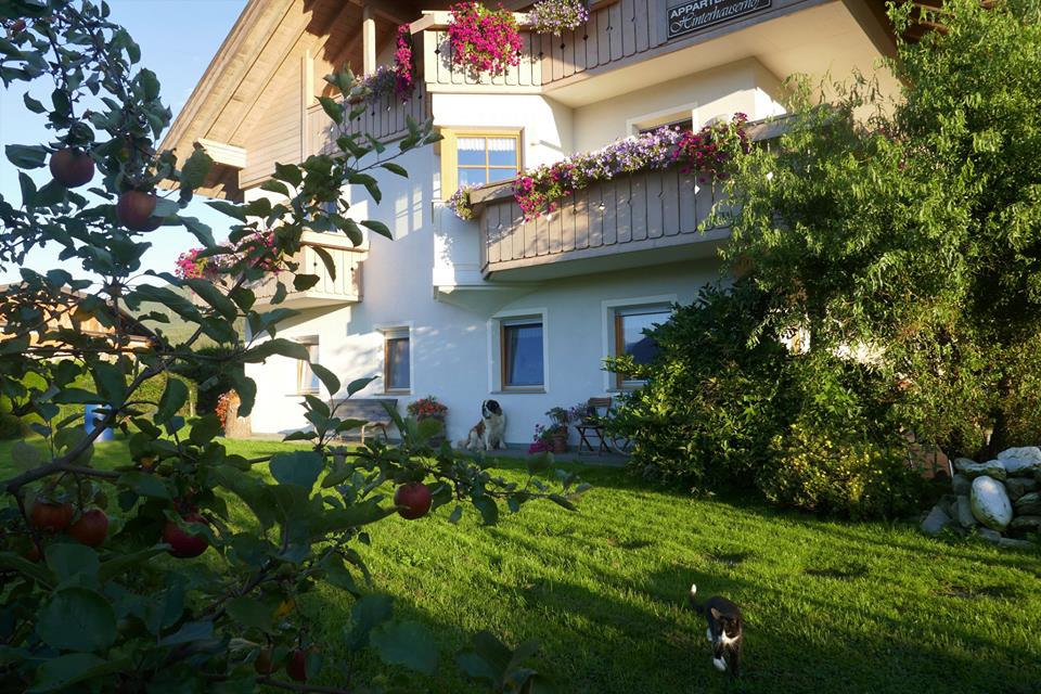 Maso con giardino in estate