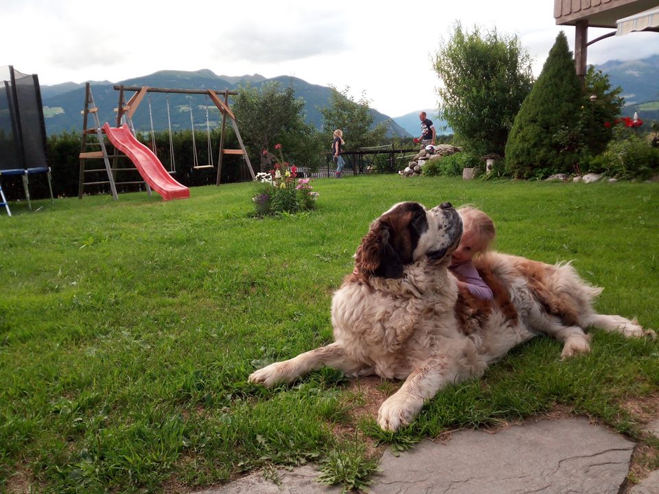 Bambino gioca in fattoria con Lotti