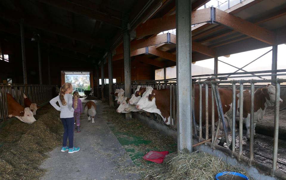 Bambini e animali in fattoria