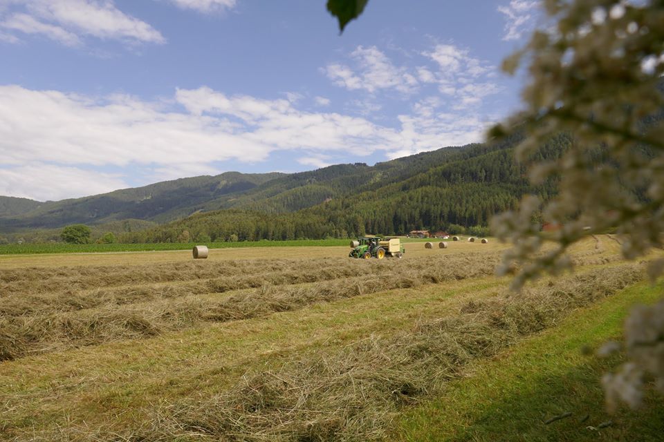Trattore durante il fieno
