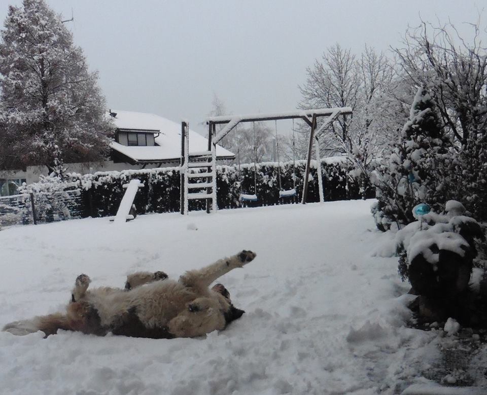 Lotti nella neve