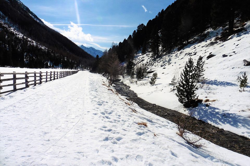 Sentiero invernale in Val Pusteria